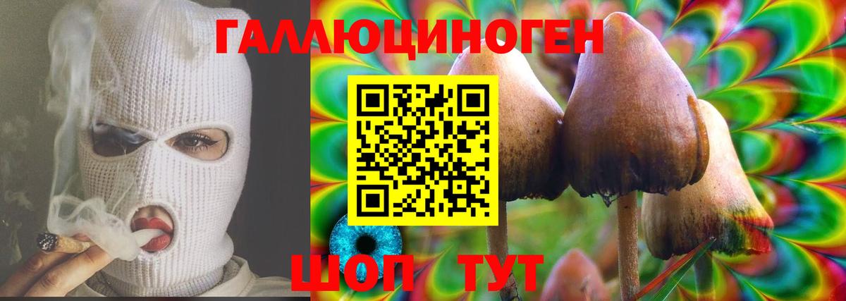Псилоцибиновые грибы GOLDEN TEACHER Черногорск